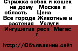 Стрижка собак и кошек на дому.  Москва и область.  › Цена ­ 1 200 - Все города Животные и растения » Услуги   . Ингушетия респ.,Магас г.